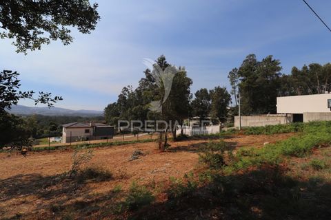 Helårsgrund i Vila Verde, Braga, Vila Verde - € 97.500 | Ref: 058377 - foto 18