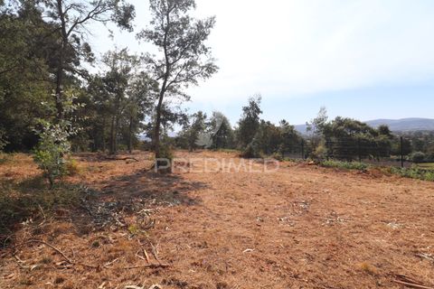 Helårsgrund i Vila Verde, Braga, Vila Verde - € 97.500 | Ref: 058377 - foto 20