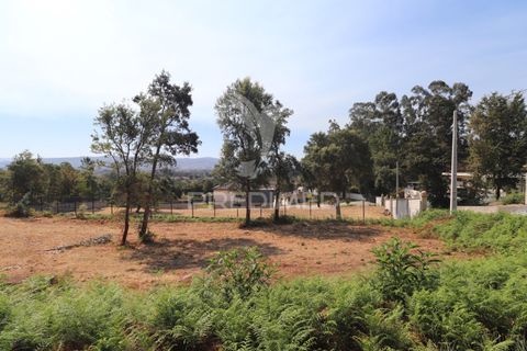 Helårsgrund i Vila Verde, Braga, Vila Verde - € 97.500 | Ref: 058377 - foto 21