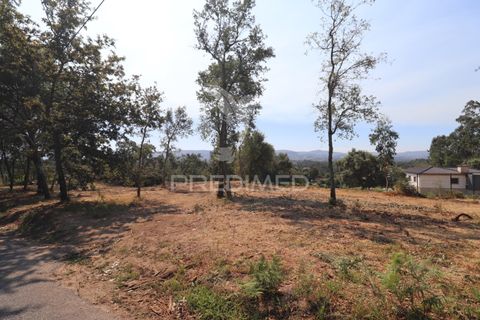 Helårsgrund i Vila Verde, Braga, Vila Verde - € 97.500 | Ref: 058377 - foto 22