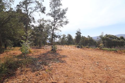 Helårsgrund i Vila Verde, Braga, Vila Verde - € 97.500 | Ref: 058377 - foto 23