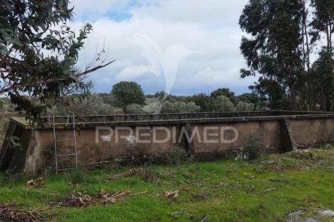 Tomt i Castelo de Vide, Portalegre, Castelo de Vide - € 75 000 | Ref: 058439 - foto 3