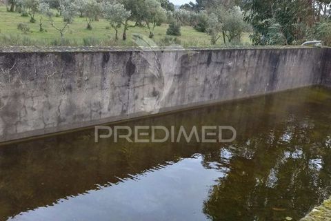 Tomt i Castelo de Vide, Portalegre, Castelo de Vide - € 75 000 | Ref: 058439 - foto 4
