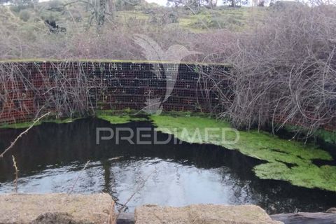 Tomt i Castelo de Vide, Portalegre, Castelo de Vide - € 75 000 | Ref: 058439 - foto 5