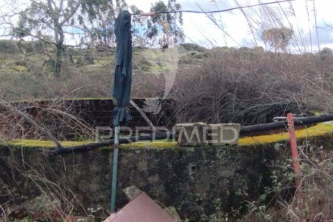 Tomt i Castelo de Vide, Portalegre, Castelo de Vide - € 75 000 | Ref: 058439 - foto 6