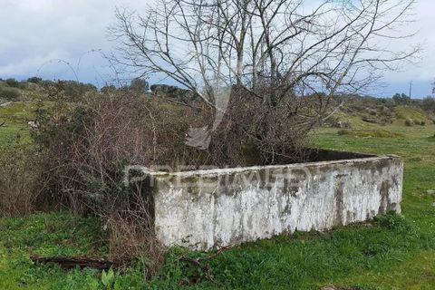 Tomt i Castelo de Vide, Portalegre, Castelo de Vide - € 75 000 | Ref: 058439 - foto 7
