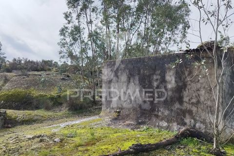 Tomt i Castelo de Vide, Portalegre, Castelo de Vide - € 75 000 | Ref: 058439 - foto 8