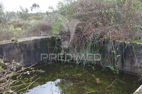 Tomt i Castelo de Vide, Portalegre, Castelo de Vide - € 75 000 | Ref: 058439 - foto 9