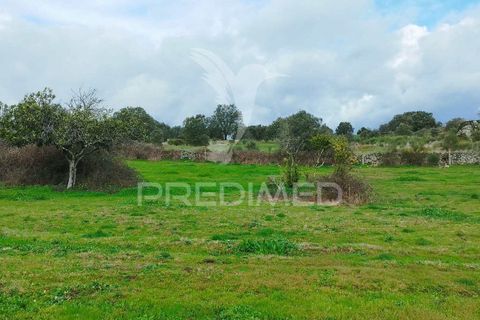 Tomt i Castelo de Vide, Portalegre, Castelo de Vide - € 75 000 | Ref: 058439 - foto 11