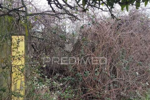 Tomt i Castelo de Vide, Portalegre, Castelo de Vide - € 75 000 | Ref: 058439 - foto 12
