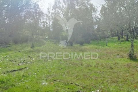 Tomt i Castelo de Vide, Portalegre, Castelo de Vide - € 75 000 | Ref: 058439 - foto 13