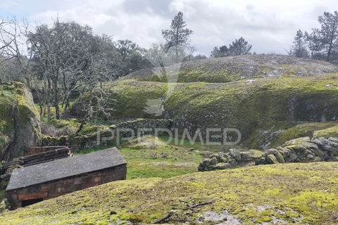 Tomt i Castelo de Vide, Portalegre, Castelo de Vide - € 75 000 | Ref: 058439 - foto 14