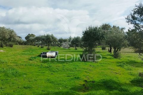 Tomt i Castelo de Vide, Portalegre, Castelo de Vide - € 75 000 | Ref: 058439 - foto 15