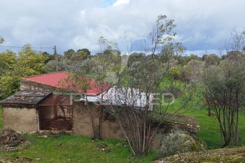 Tomt i Castelo de Vide, Portalegre, Castelo de Vide - € 75 000 | Ref: 058439 - foto 19