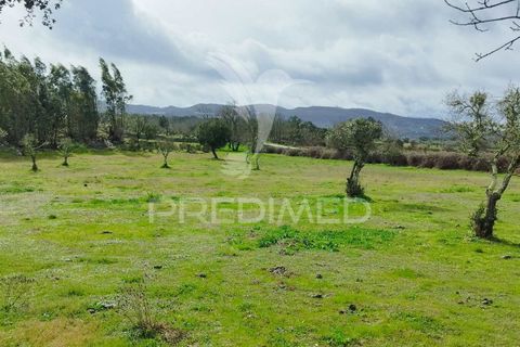 Tomt i Castelo de Vide, Portalegre, Castelo de Vide - € 75 000 | Ref: 058439 - foto 20