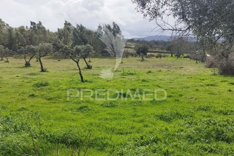 Tomt i Castelo de Vide, Portalegre, Castelo de Vide - € 75 000 | Ref: 058439 - foto 21