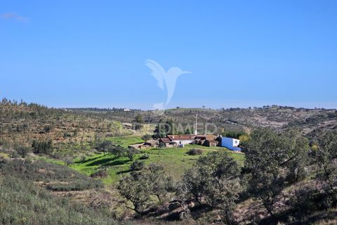 Farm hus i Ourique, Beja, Ourique - € 160.000 | Ref: 058492 - foto 12