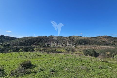 Farm hus i Ourique, Beja, Ourique - € 160.000 | Ref: 058492 - foto 14