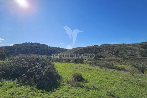 Farm hus i Ourique, Beja, Ourique - € 160.000 | Ref: 058492 - foto 15