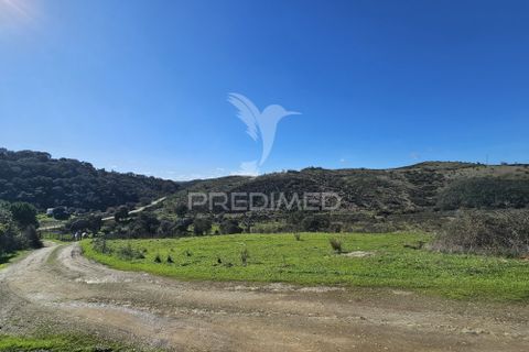 Farm hus i Ourique, Beja, Ourique - € 160.000 | Ref: 058492 - foto 17