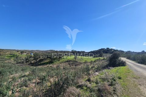 Farm hus i Ourique, Beja, Ourique - € 160.000 | Ref: 058492 - foto 19