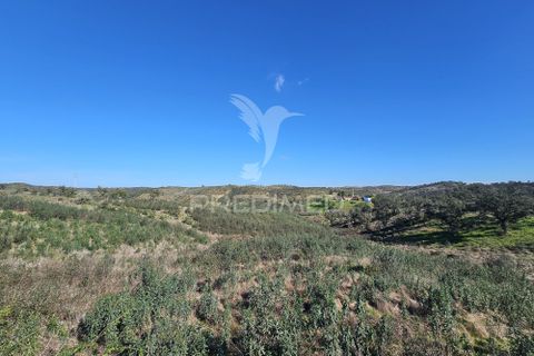 Farm hus i Ourique, Beja, Ourique - € 160.000 | Ref: 058492 - foto 20