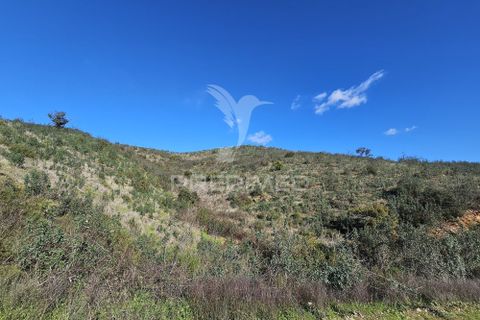Farm hus i Ourique, Beja, Ourique - € 160.000 | Ref: 058492 - foto 23