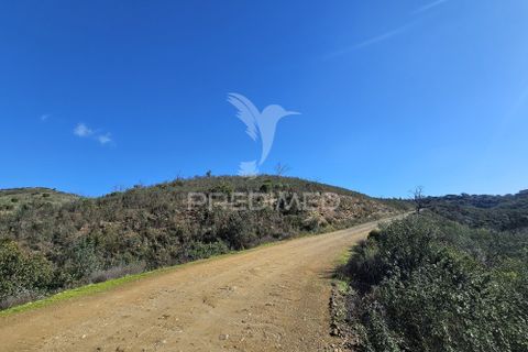 Farm hus i Ourique, Beja, Ourique - € 160.000 | Ref: 058492 - foto 25