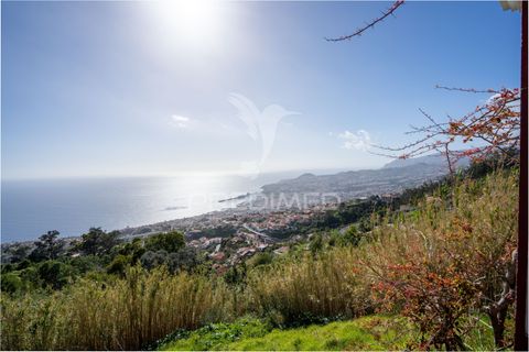 Byhus i Funchal, Madeira, Funchal - € 263.350 | Ref: 058516 - foto 3