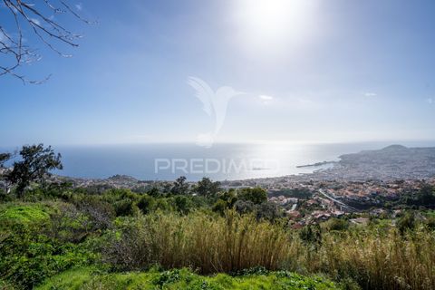 Byhus i Funchal, Madeira, Funchal - € 263.350 | Ref: 058516 - foto 4