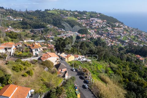 Byhus i Funchal, Madeira, Funchal - € 263.350 | Ref: 058516 - foto 12