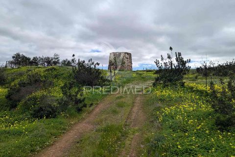 Helårsgrund i Castro Marim, Faro, Castro Marim - € 250.000 | Ref: 058554 - foto 32
