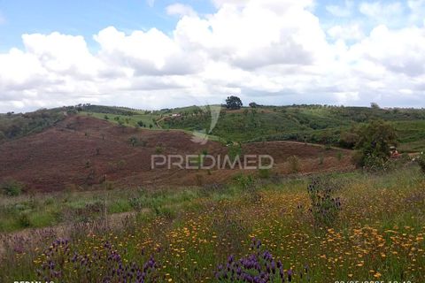 Farm hus i Odemira, Beja, Odemira - € 21.000 | Ref: 058682 - foto 2