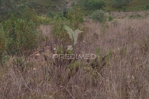 Farm hus i Odemira, Beja, Odemira - € 21.000 | Ref: 058682 - foto 3