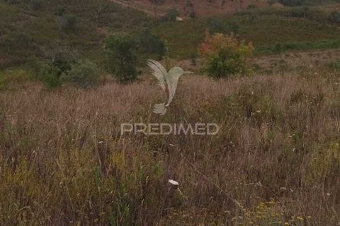 Farm hus i Odemira, Beja, Odemira - € 21.000 | Ref: 058682 - foto 9