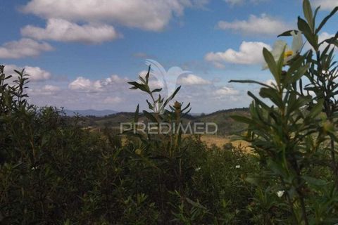 Farm hus i Odemira, Beja, Odemira - € 21.000 | Ref: 058682 - foto 12