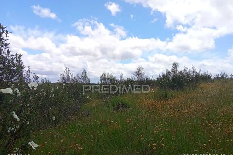 Farm hus i Odemira, Beja, Odemira - € 21.000 | Ref: 058682 - foto 14