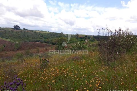 Farm hus i Odemira, Beja, Odemira - € 21.000 | Ref: 058682 - foto 15