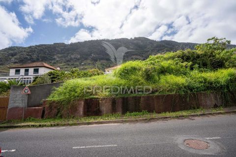 Helårsgrund i Machico, Madeira, Machico - € 1.004.500 | Ref: 058826 - foto 4