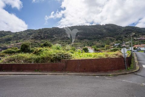 Helårsgrund i Machico, Madeira, Machico - € 1.004.500 | Ref: 058826 - foto 5