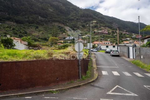 Helårsgrund i Machico, Madeira, Machico - € 1.004.500 | Ref: 058826 - foto 6