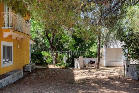 Farm hus i Setubal, Setubal, Setubal - € 2.700.000 | Ref: 058833 - foto 3