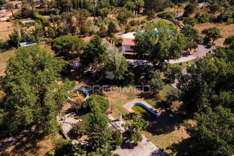 Farm hus i Setubal, Setubal, Setubal - € 2.700.000 | Ref: 058833 - foto 9