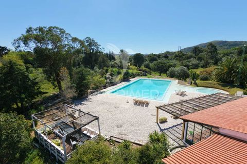 Farm hus i Setubal, Setubal, Setubal - € 2.700.000 | Ref: 058833 - foto 37