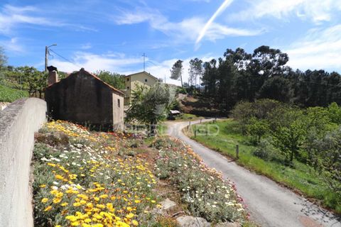 Byhus i Resende, Viseu, Resende - € 59.500 | Ref: 058984 - foto 34