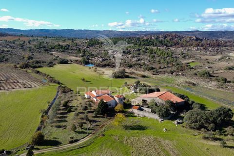 Farm hus i Meda, Guarda, Meda - € 310.000 | Ref: 059099 - foto 3