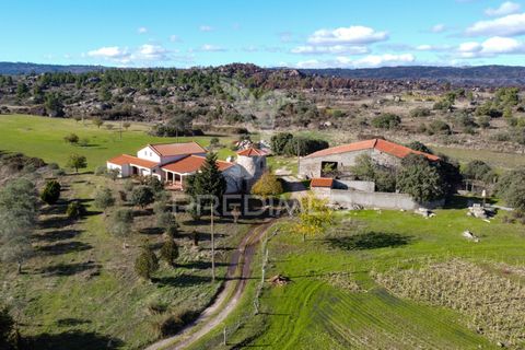 Farm hus i Meda, Guarda, Meda - € 310.000 | Ref: 059099 - foto 4