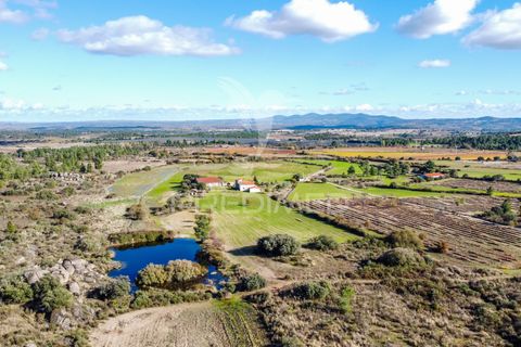 Farm hus i Meda, Guarda, Meda - € 310.000 | Ref: 059099 - foto 6