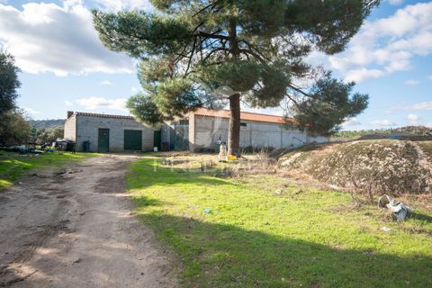 Farm hus i Meda, Guarda, Meda - € 310.000 | Ref: 059099 - foto 10