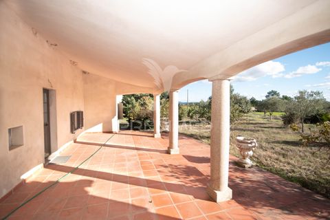 Farm hus i Meda, Guarda, Meda - € 310.000 | Ref: 059099 - foto 17